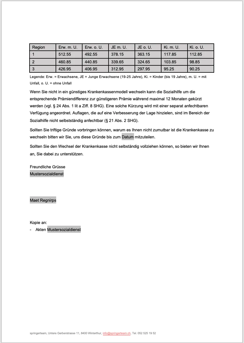 Dokumentvorlage Beispiel 2